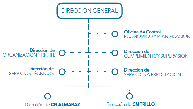 estructura organizativa